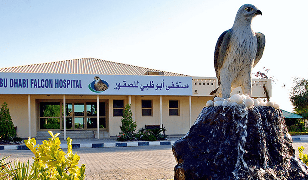 Image11-UAE