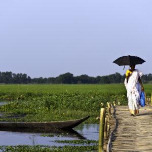 "Majuli island, India: August 27, 2011: A woman with an open umbrella walking across a bamboo bridge in the heat of the afternoon sun. A man in a small rowing boat is about to punt under the bamboo bridge. The photograph also depicts a narrow village mud track disrupted by a freshwater lagoon and water hyacinth. The shot was taken on Majuli Island in Assam, north east India."